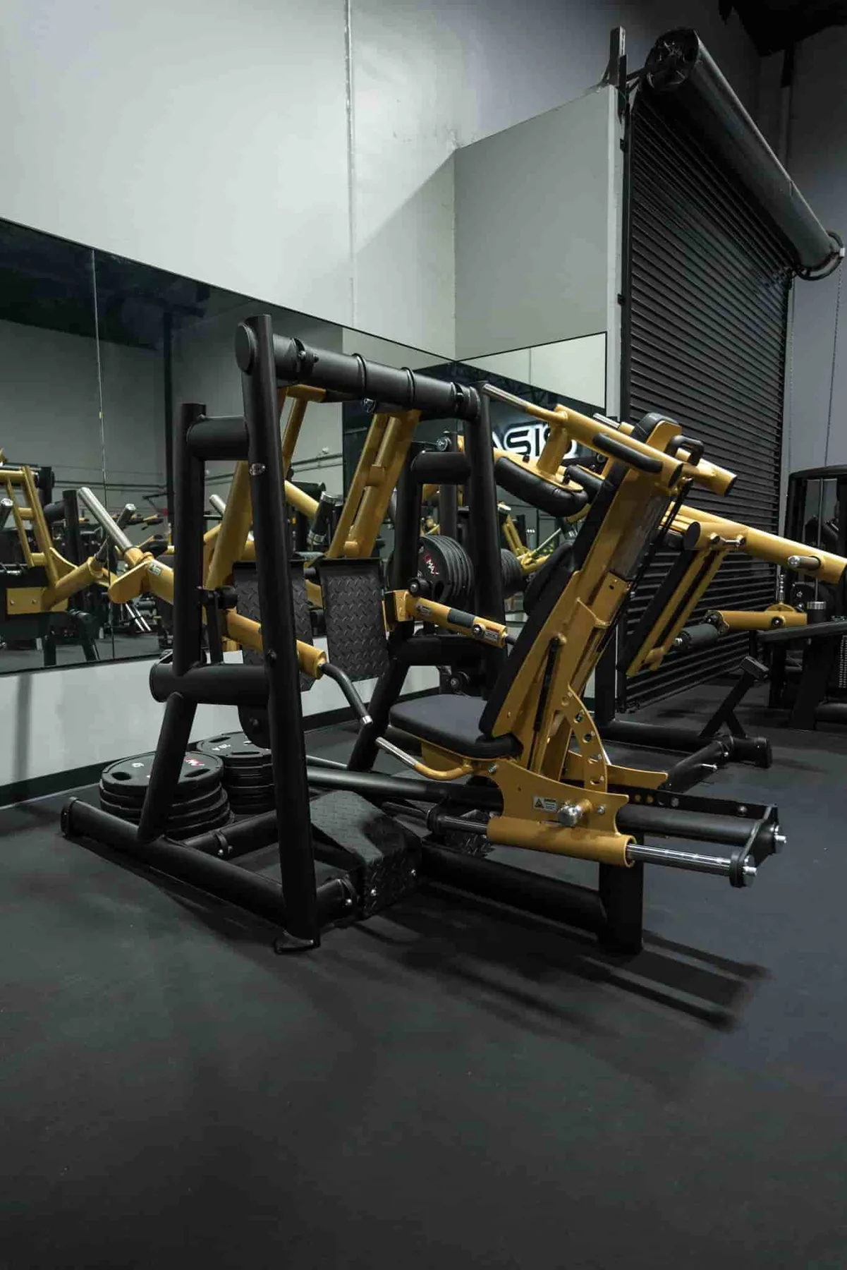 Premium strength equipment on the private Oasis floor