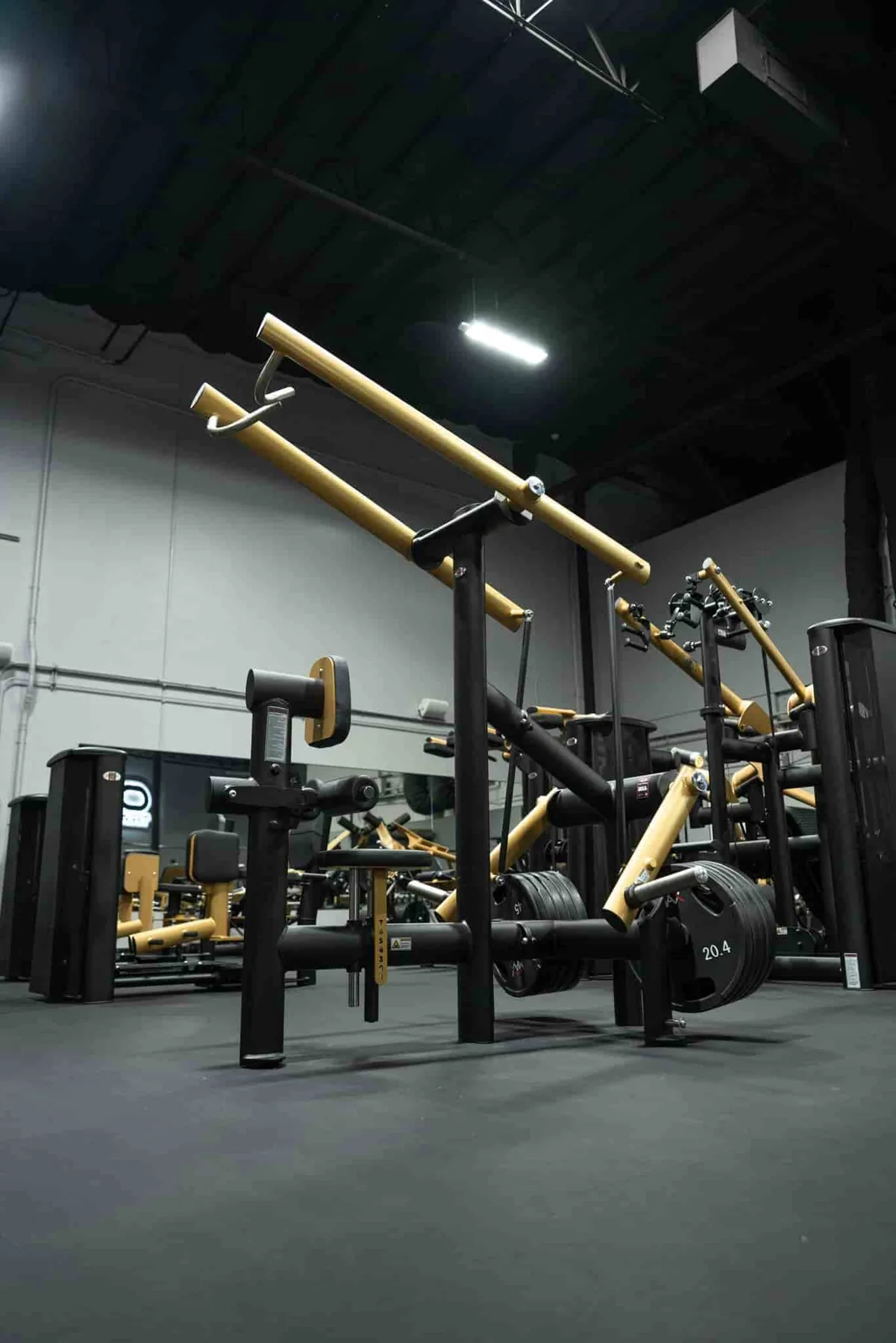 German-engineered Gym 80 strength equipment at Oasis